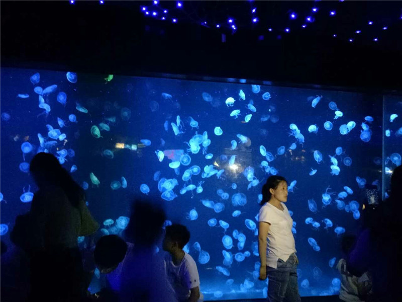 2018 acrilico meduse acquario serbatoio di vetro