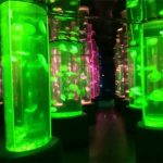2018 fornitore di serbatoio meduse acrilico