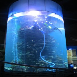 serbatoio in acrilico trasparente per grandi acquari o acquario