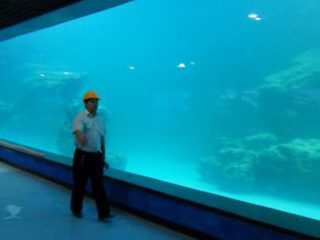Pannello acrilico UV per parete per acquario, oceanarium