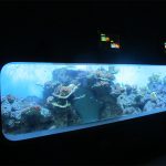 Acquario di pesce cilindrico trasparente acrilico colato artificiale / finestra di vista
