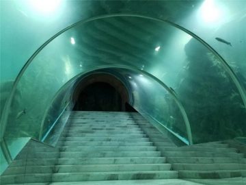 Prezzo del progetto dell'acquario tunnel acrilico