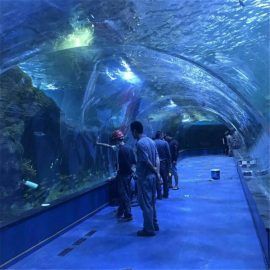 Progetto oceanarium tunnel acrilico in acquari pubblici