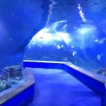 Clear pmma acrylic Grande tunnel di plastica dell'acquario