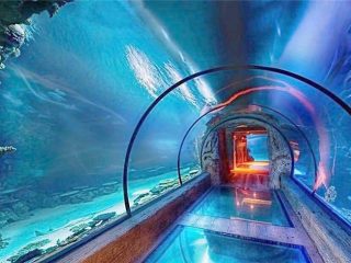 Tunnel lungo di acquario acrilico dal design moderno