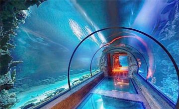 Tunnel lungo di acquario acrilico dal design moderno